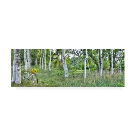Trademark Fine Art Alan Blaustein 'Sunflower Bike Ride No.4' Canvas Art, 6x19 IC00176-C619GG